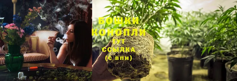 Бошки марихуана Ganja  купить  цена  Новопавловск 